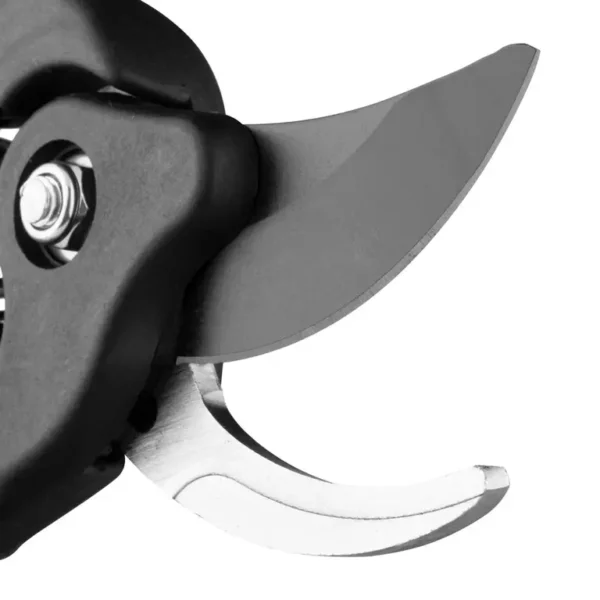 Pruning Shear-Flora model