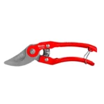 Pruning Shear-Sharp Model