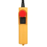 Electric Hoists 18m-250kg