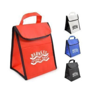 Nonwoven Insulated Cooler Bag with Velcro Closure