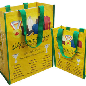 Promotional Laminated Woven Shopping Bag